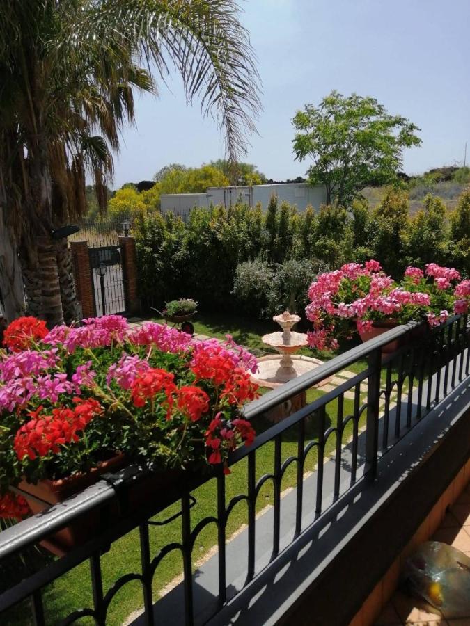 San Pietro Clarenza B&B Villa Salome' المظهر الخارجي الصورة